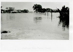 Image description is not available for PHO-4-W689-1069